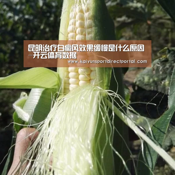 开云体育数据中心