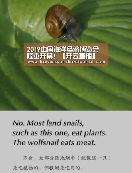 2019中国海洋经济博览会隆重开幕!【开云直播】(图3) 开云体育官网